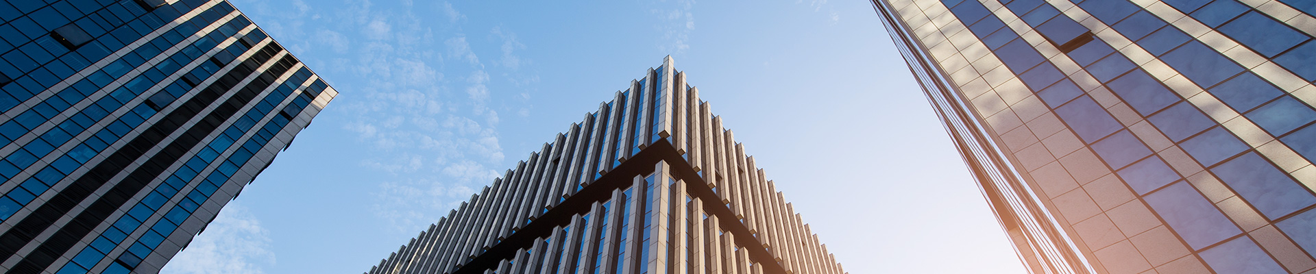 金百博·(中国区)有限公司官网